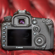 Image for article titled Canon 7D Mark II: The Best DSLR For Sports and Wildlife, But That's All